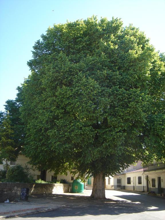 Ribatajada Apartamentos Serrano מראה חיצוני תמונה